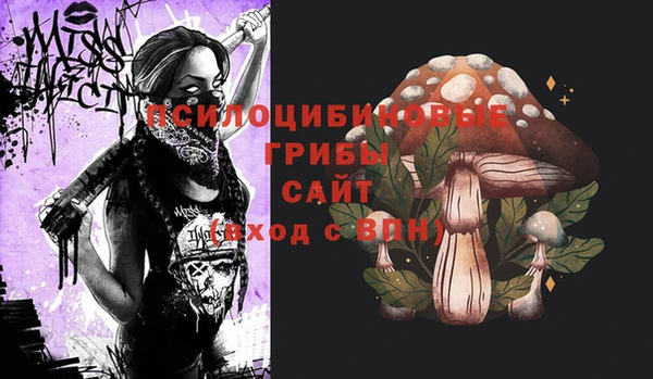 стафф Ельня