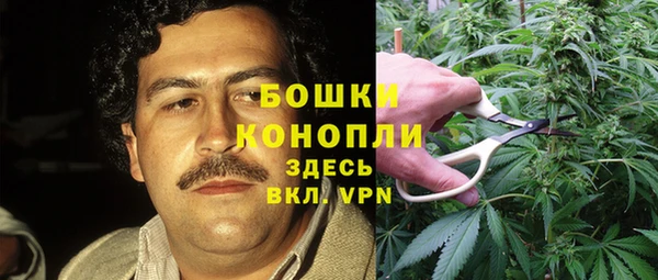Альфа ПВП Новодвинск
