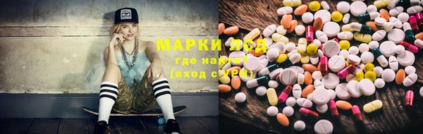 Альфа ПВП Новодвинск