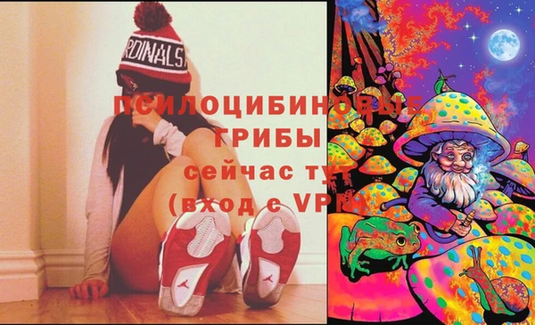 Альфа ПВП Новодвинск