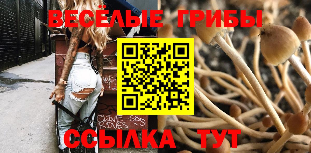 сколько стоит  Вход с VPN  Кыштым  Псилоцибиновые грибы ЛСД 